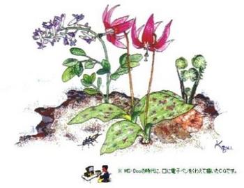 194 CG 片栗の花.jpg