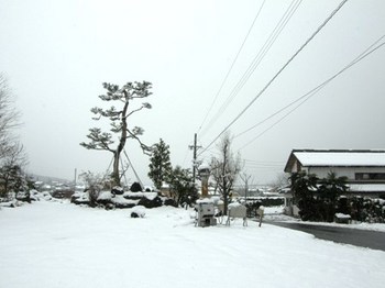 319 初雪０１.JPG
