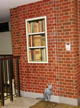 509-6 書棚と猫.JPG