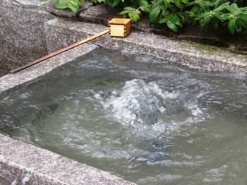 541-2 菓生の泉.JPG