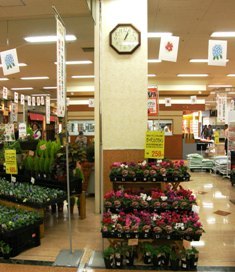 549-3 ＳＣの花売り場の時計.JPG