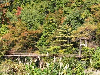 632-5 秋05－吊り橋と山.JPG
