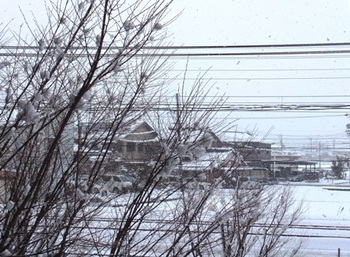 642-1 【おまけ】初雪　20121210.JPG
