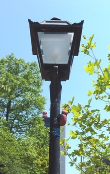 672-3 街路灯とカブトムシ.JPG